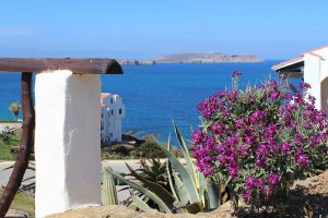 Immobilien auf Menorca kaufen