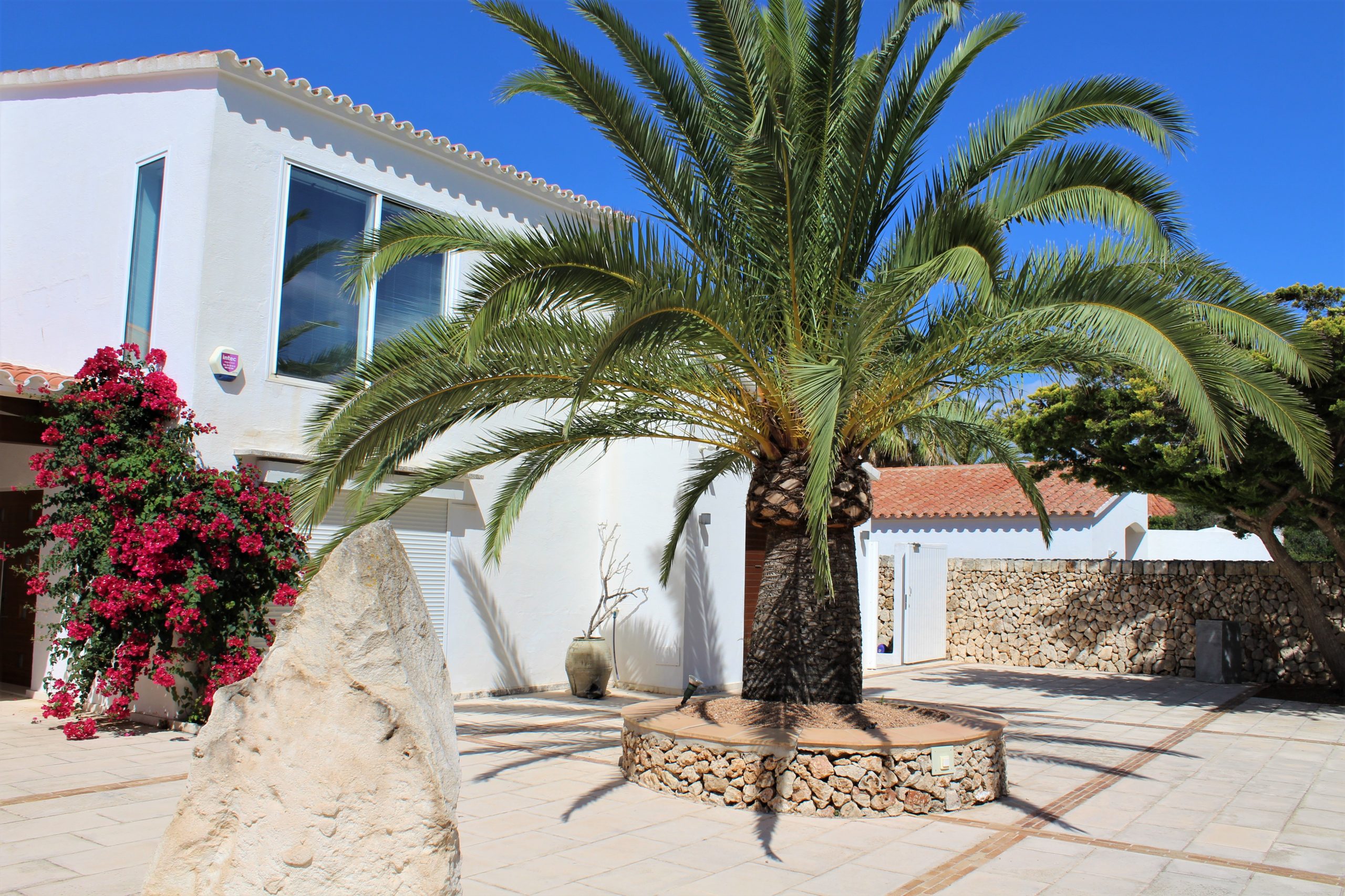 Mediterraner Garten mit Palme